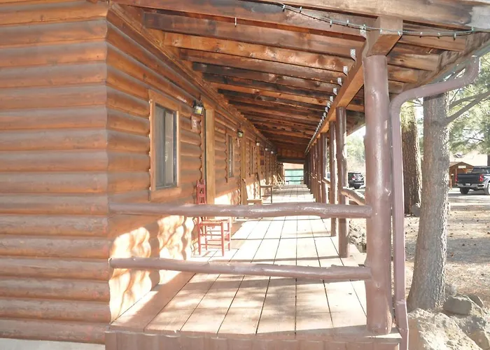 Nine Pines *